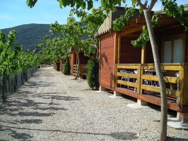 Cabanas Y Bungalows La Falaguera Barx ภายนอก รูปภาพ